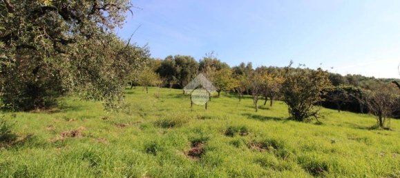 2700m² Land in Fonte Nuova, Italy No. 176457 15