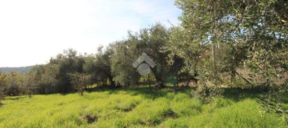 2700m² Land in Fonte Nuova, Italy No. 176457 9