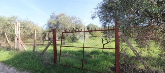 2700m² Land in Fonte Nuova, Italy No. 176457 13