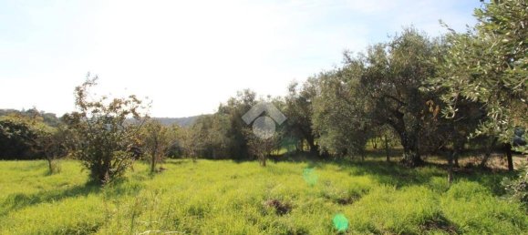 2700m² Land in Fonte Nuova, Italy No. 176457 16