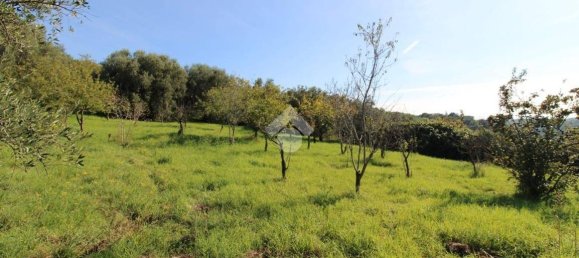 2700m² Land in Fonte Nuova, Italy No. 176457 10