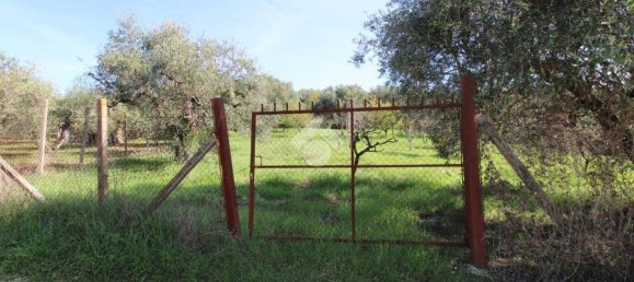 2700m² Land in Fonte Nuova, Italy No. 176457 12