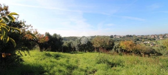 2700m² Land in Fonte Nuova, Italy No. 176457 6