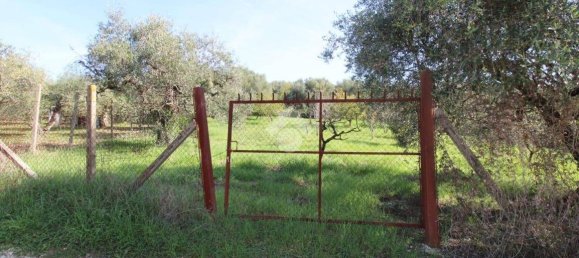 2700m² Land in Fonte Nuova, Italy No. 176457 5