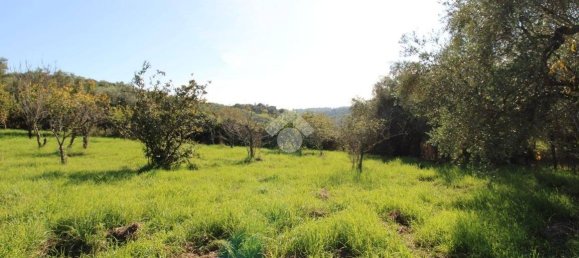 2700m² Land in Fonte Nuova, Italy No. 176457 8