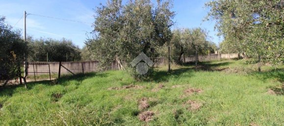 2700m² Land in Fonte Nuova, Italy No. 176457 4