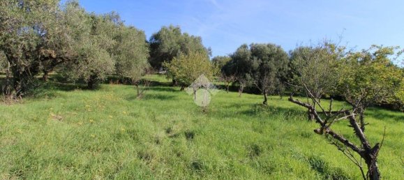 2700m² Land in Fonte Nuova, Italy No. 176457 11