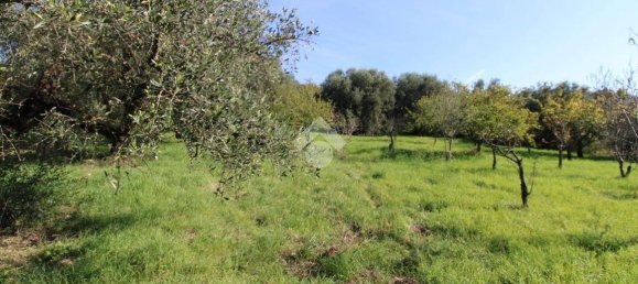 2700m² Land in Fonte Nuova, Italy No. 176457 3