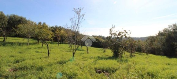2700m² Land in Fonte Nuova, Italy No. 176457 19