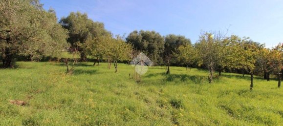 2700m² Land in Fonte Nuova, Italy No. 176457 17