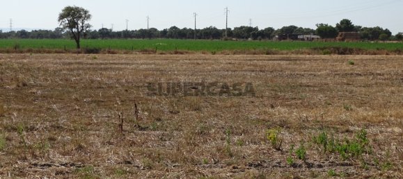 قطعة أرض في Benavente, Portugal رقم 159543 10