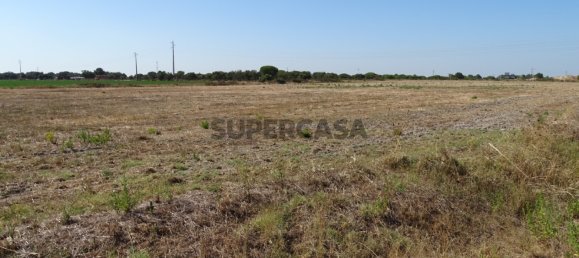 قطعة أرض في Benavente, Portugal رقم 159543 7