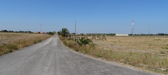 قطعة أرض في Benavente, Portugal رقم 159543 6