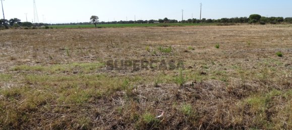 قطعة أرض في Benavente, Portugal رقم 159543 9