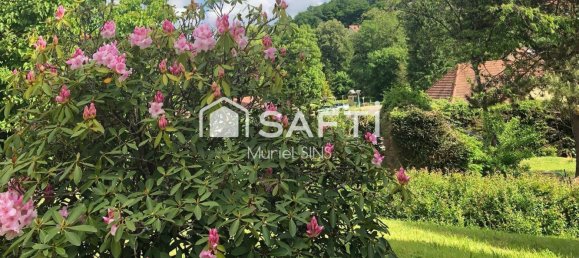 4 غرف نوم منزل في Fouday, France رقم 215071 14