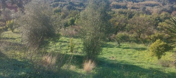 2 غرف نوم فيلا في Estepona, Spain رقم 127552 5