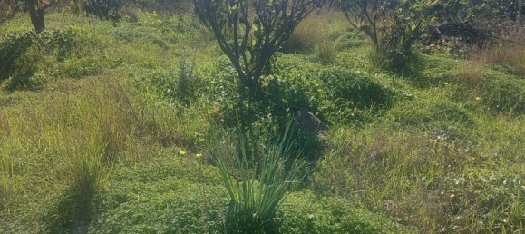 2 غرف نوم فيلا في Estepona, Spain رقم 127552 17