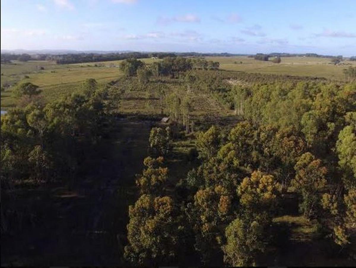  Land in Maldonado, Uruguay No. 16045