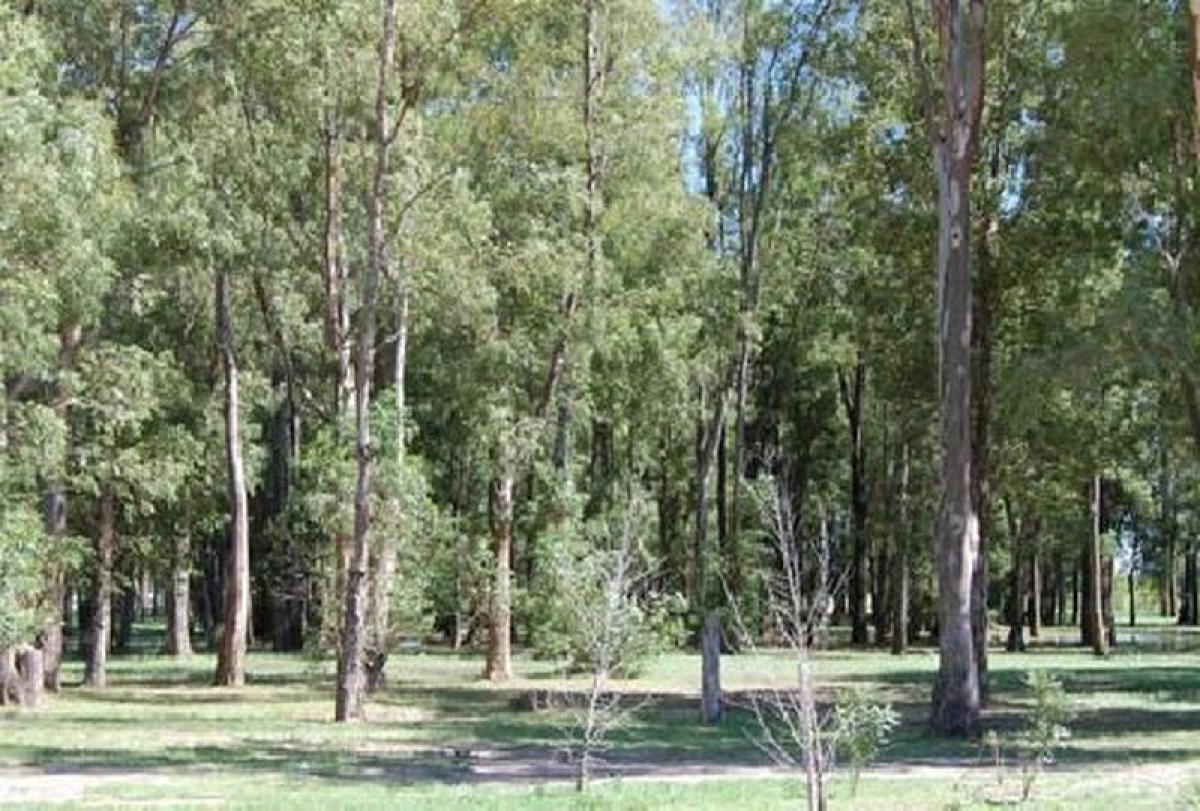  Land in Ezeiza, Argentina No. 117079