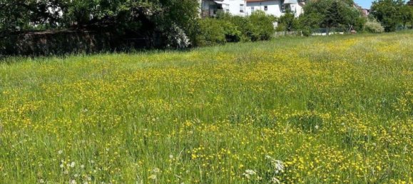 3-Zimmer Wohnung in Offenbach, Germany, Nr. 229365 11