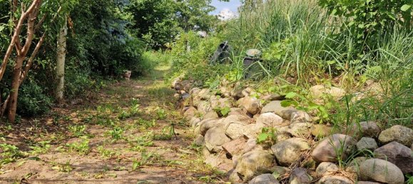 Casa de 3 habitaciónes en Potsdam-Mittelmark, Germany No. 110582 17