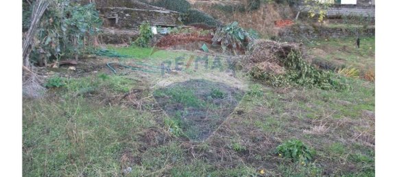 1 bedroom House in Peso da Regua, Portugal No. 184466 15