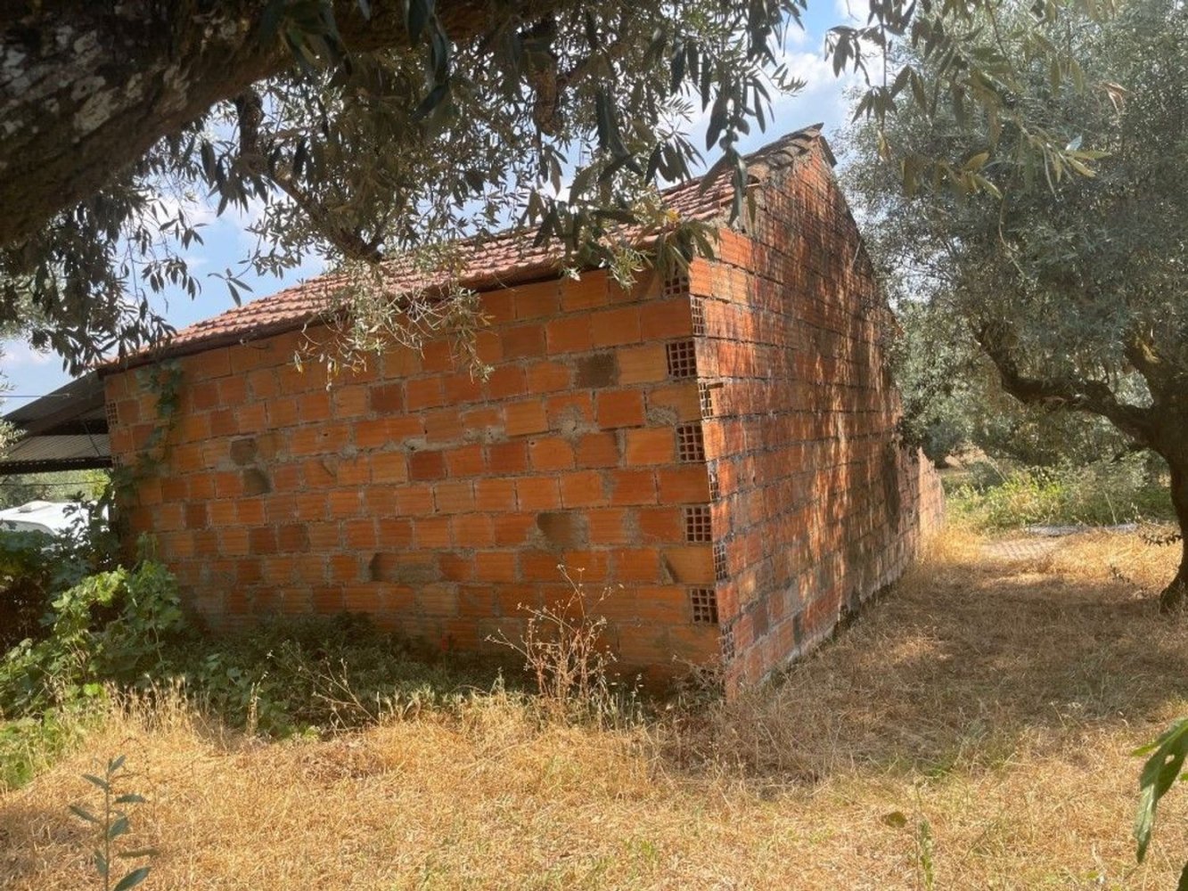 Grundstück in Telhado, Portugal, Nr. 313853
