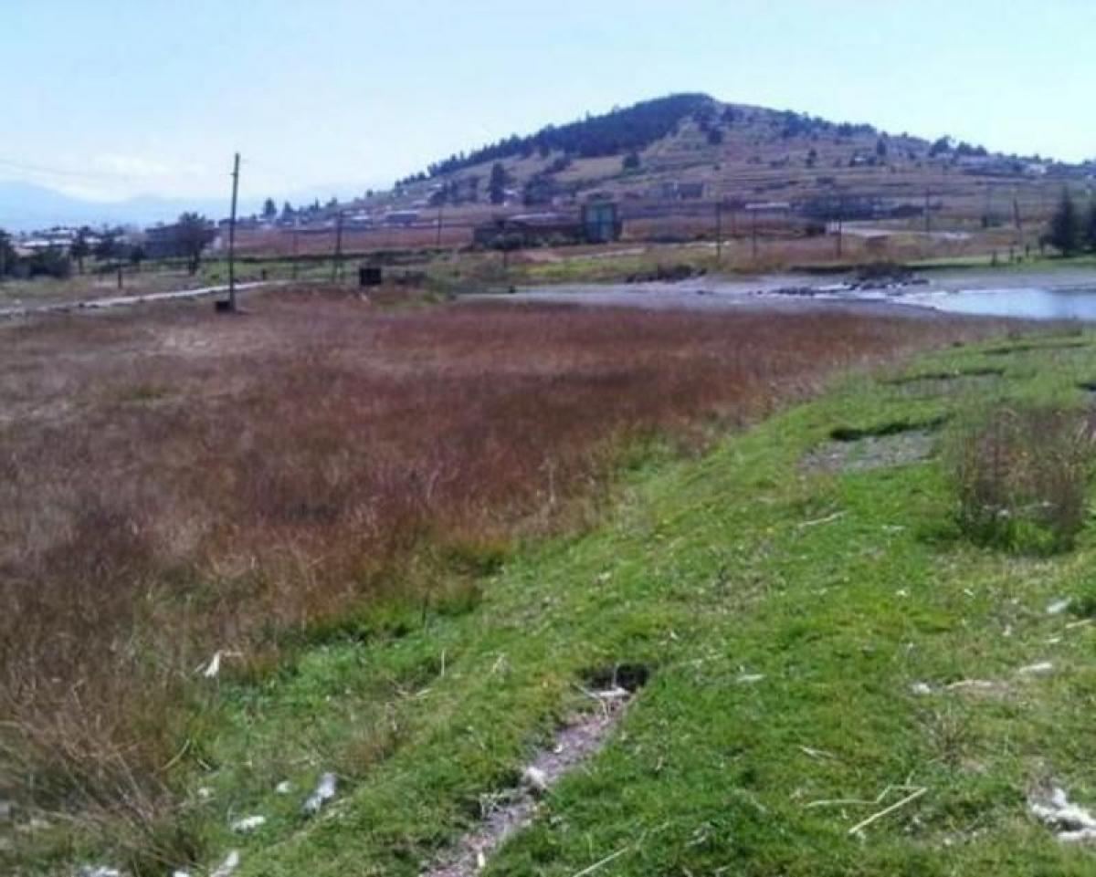  Land in Zinacantepec, Mexico No. 203659