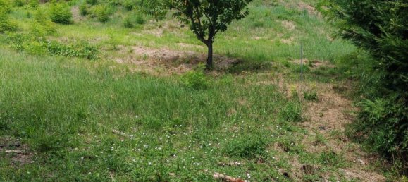 10000m² Land in Urbino, Italy No. 265998 3