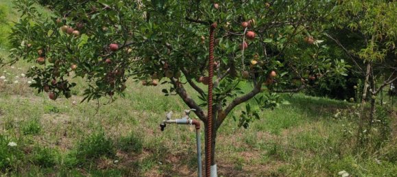 10000m² Land in Urbino, Italy No. 265998 2