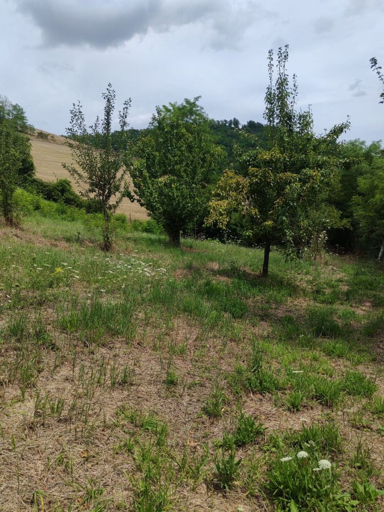 10000m² Land in Urbino, Italy No. 265998