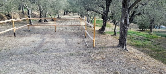 8 rooms House in Fosdinovo, Italy No. 134644 46