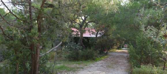 1 bedroom Commercial property in Rafina, Greece No. 6904 8