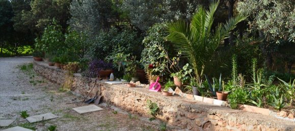 1 bedroom Commercial property in Rafina, Greece No. 6904 7