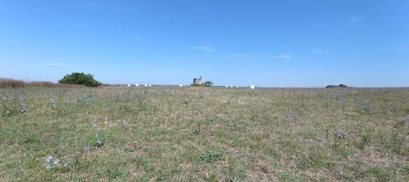 69759m² Land in Santarem, Portugal No. 144599 16