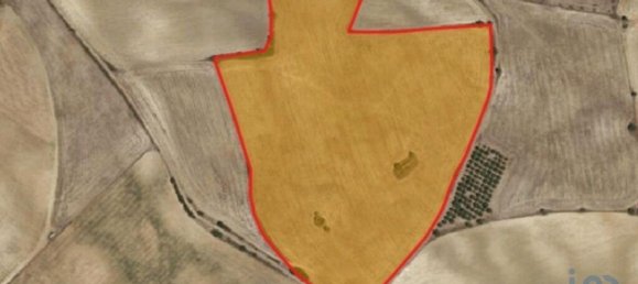 69759m² Land in Santarem, Portugal No. 144599 10