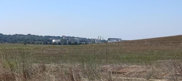 69759m² Land in Santarem, Portugal No. 144599 15