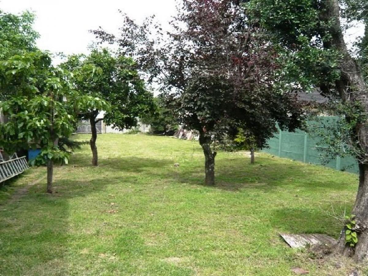  Land in Esteban Echeverria, Argentina No. 113099