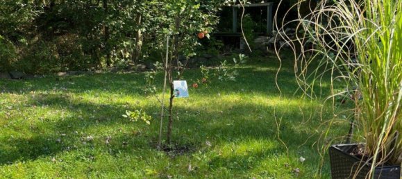 Bungalow de 3 divisões em Markischer, Germany N.º 132833 5