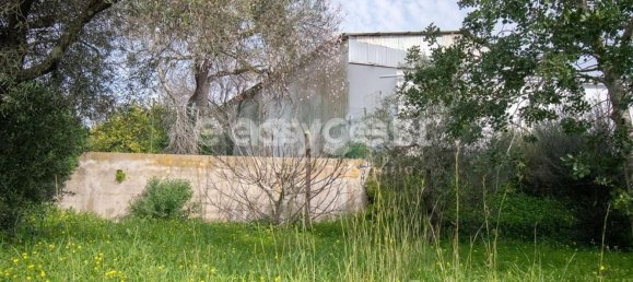 Entrepôt à Tavira, Portugal 854m² No. 12616 13