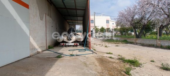 Entrepôt à Tavira, Portugal 854m² No. 12616 6