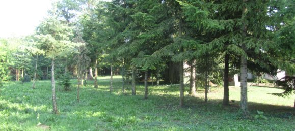 5 bedrooms Townhouse in Alzey-Worms, Germany No. 183812 25