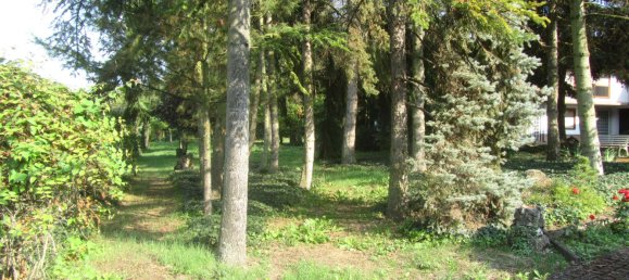 5 bedrooms Townhouse in Alzey-Worms, Germany No. 183812 29