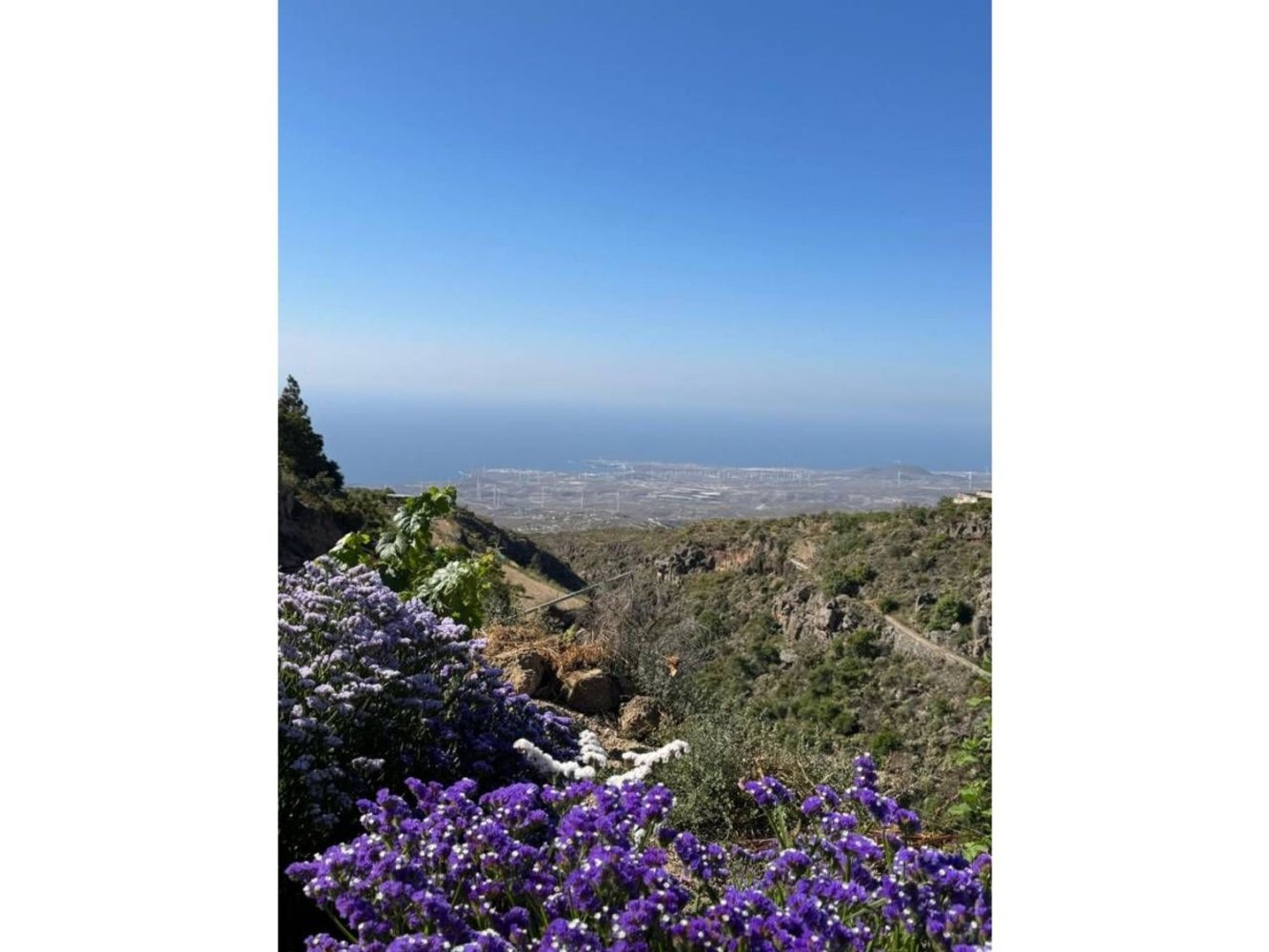 Casa de 1 dormitorio en Fasnia, Spain No. 151979