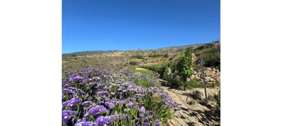 Casa de 1 dormitorio en Fasnia, Spain No. 151979 41