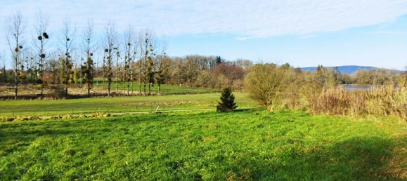 4 غرف نوم منزل في Mayenne, France رقم 360556 6