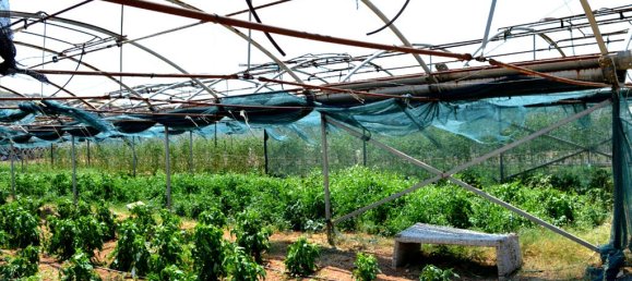  فندق في Koropi, Greece 4000متر مربع رقم 6605 3