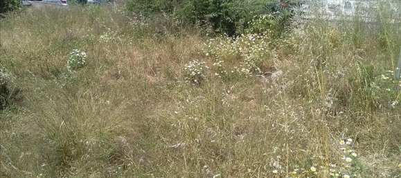 480m² Hotel in Chania, Greece No. 4942 3