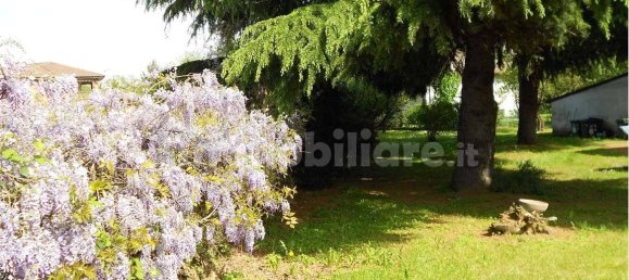 3 bedrooms Villa in Pozzolo Formigaro, Italy No. 343195 13