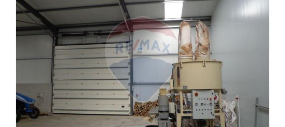 Склад 18525м² в Агиар да Бейра, Португалия № 77180 4